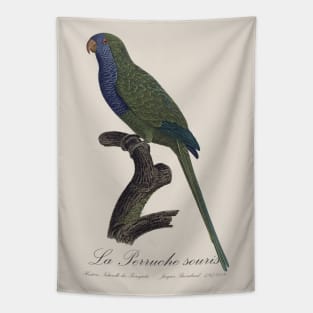 Monk Parakeet / La Perruche Souris - Jacques Barraband 19th century Illustration Tapestry