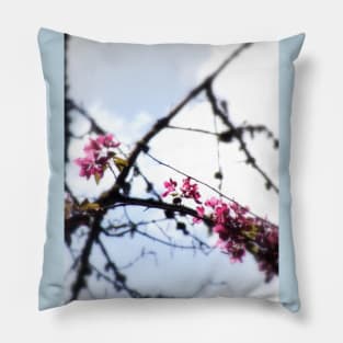 red Malus Radiant crab apple blossoms #7 Pillow