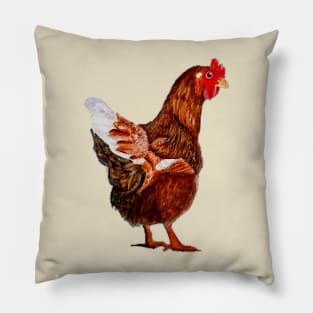 Chook. Pillow