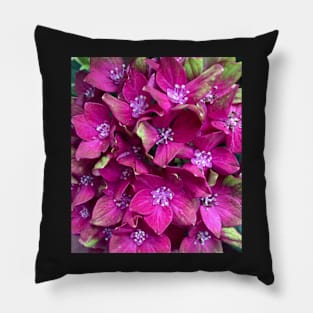 Wild Magenta Hydrangea Pillow