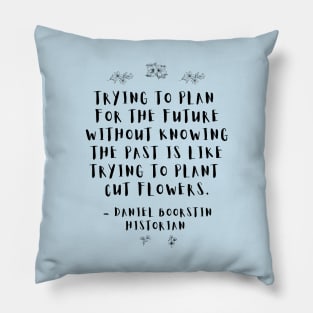 "Trying to plan for the future without knowing the past is like trying to plant cut flowers.” -- Historian Daniel Boorstin Pillow