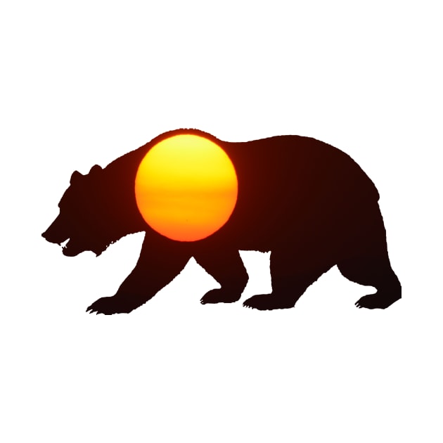 Sun Walking Bear by Whisperingpeaks