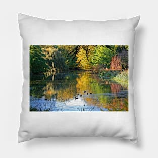 Autumn Colours, West London, October 2019 Pillow