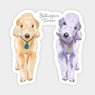 Two dogs Bedlington Magnet