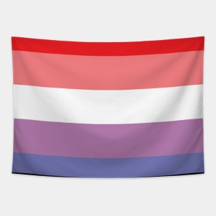 AMAB DMAB Queer Pride Flag Tapestry