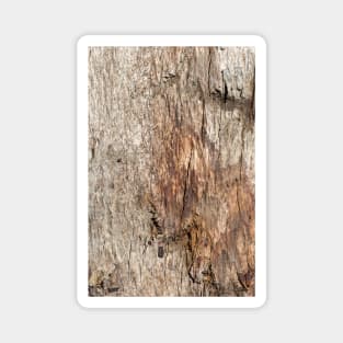 Old wooden texture Magnet