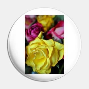 Yellow Pink And Red Rose's Summer Flowers Pin