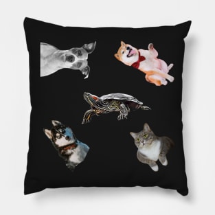 Animal pets Sticker Pack Pillow