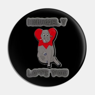 valentine's day I hugely love you Pin