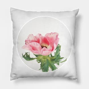 Pink Anemone Pillow