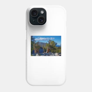 850_6872 Phone Case