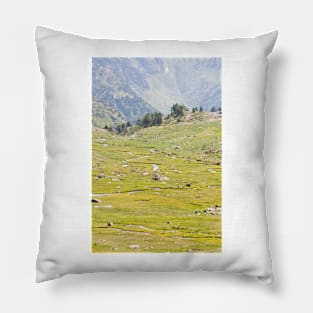 Andorra Pillow