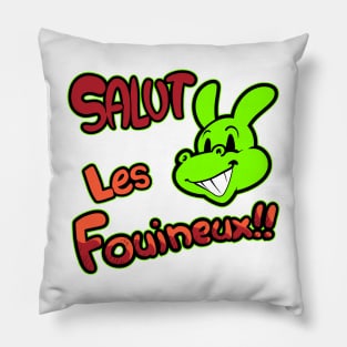 Salut les fouineux!! Pillow