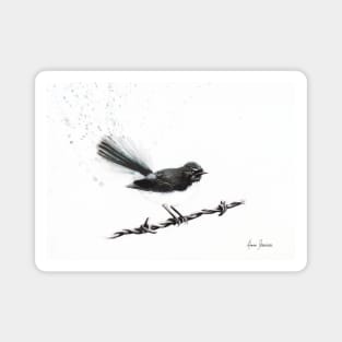 Coleraine Willy Wagtail Magnet