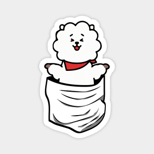 RJ IN A POCKET (BT21) Magnet