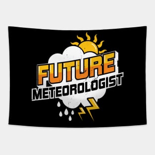 Future Meteorologist Meteorology Student Gift Tapestry