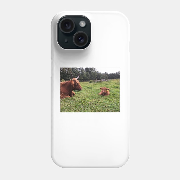 Scottish Highland Cattle Calf 1807 Phone Case by SaarelaHighland