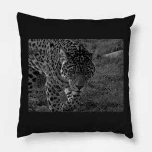 Jaguar Pillow