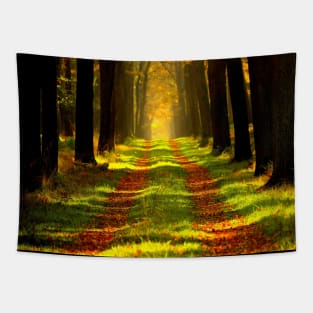 Beautiful Forest Trees of Nature Tapestry