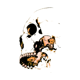 Skull sketch T-Shirt