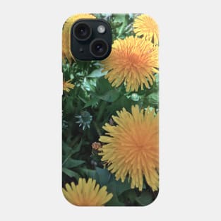 Dandelions - Variation in Lighting - Early Spring Blooms Phone Case