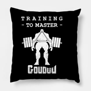 Training to Master Goudo - alt Pillow