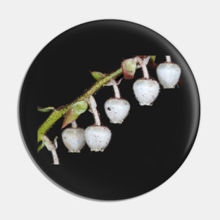 Salal flowers Pin