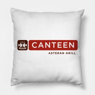 Canteen - Asteran Grill Pillow