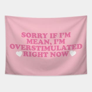 Sorry If I’m Mean, I’m Overstimulated Right Now Shirt, Y2k Aesthitic Shirtr, Self Care, Self Love Shirt, Mental Health Gifts Tapestry