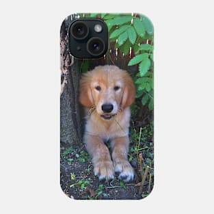 Golden Retriever Puppy Under a Tree Phone Case