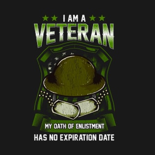 Veterans Oath Of Enlistment Military Gift T-Shirt