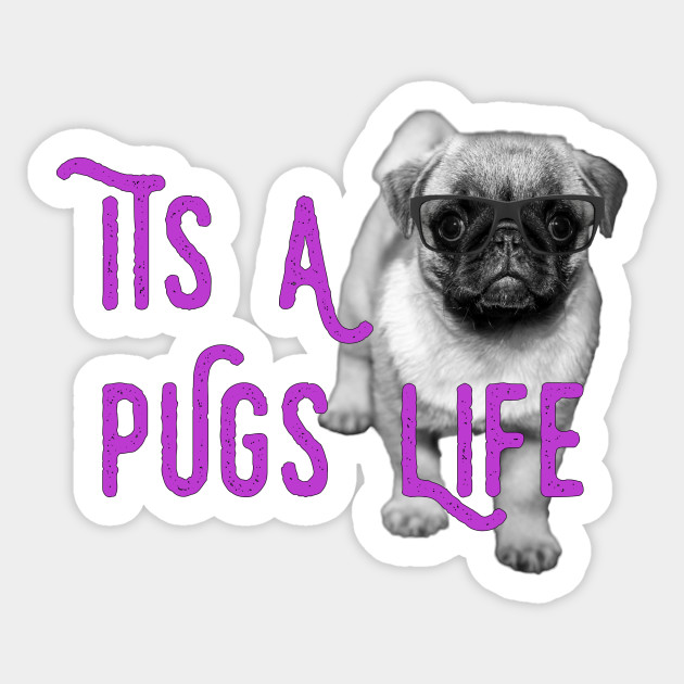 it's a pug life