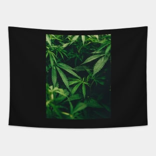 Cannabis Marijuana Leaves Tapestry