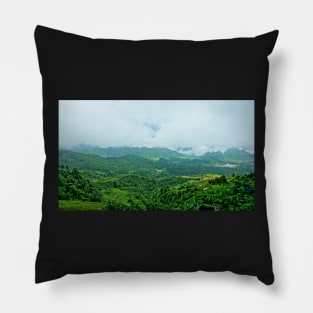 Vietnam - Route de Ha Giang à Dong Van. Rizière Pillow