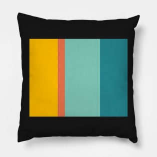 Retro Hot and Cold Pillow