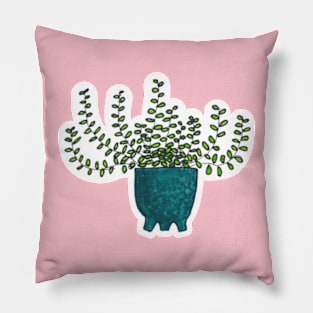 Jellybean Succulent - House Plant Watercolour Pillow