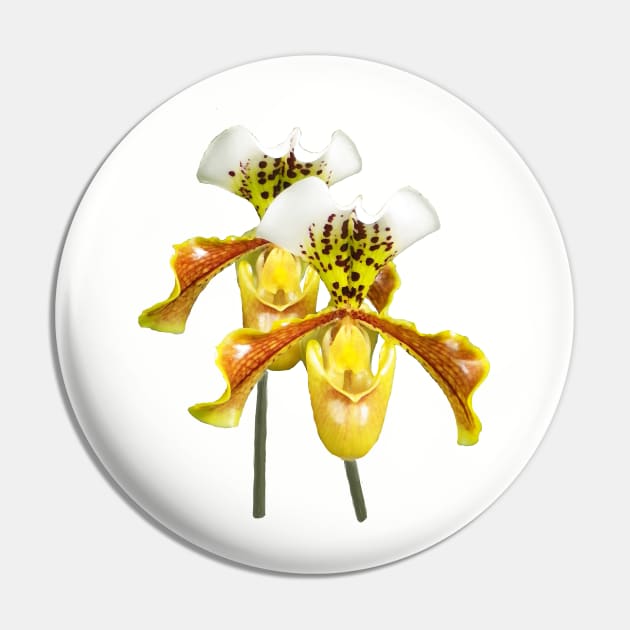 Twin Sisters Orchids Pin by Betty500_B