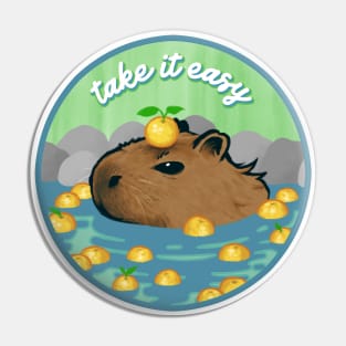 Chill Capybara (circle design) Pin