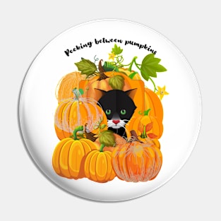 Peeking between pumpkins Pin