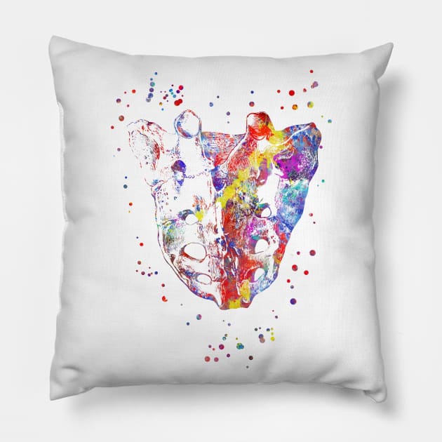  Sacrum Pillow