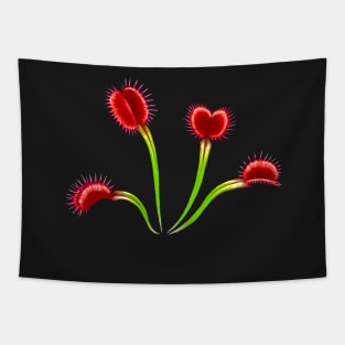 Live Venus Fly Trap Plant Shirt Large Carnivorous Plant Gift Tapestry