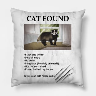 Cat Found Poster (Badger) Pillow