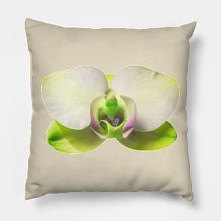 Yellow Orchid Pillow