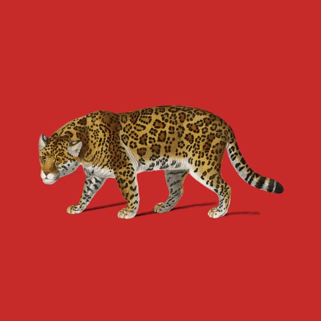 Vintage Jaguar png wild animal, by Phantom Troupe