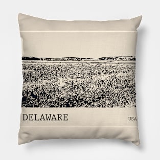 Delaware USA Pillow