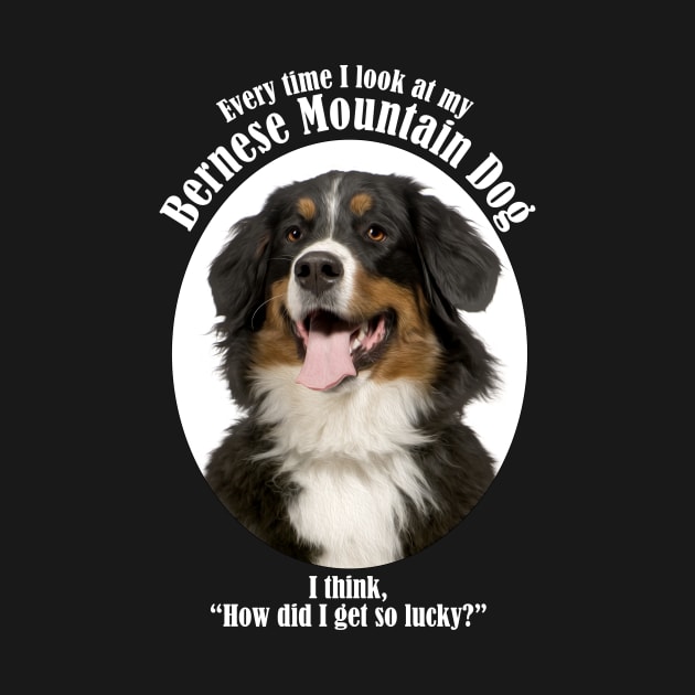 Lucky Bernese Mountain Dog by You Had Me At Woof