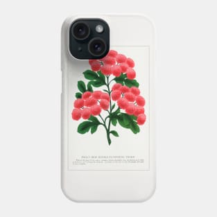 Flowering Thorn Lithograph (1900) Phone Case