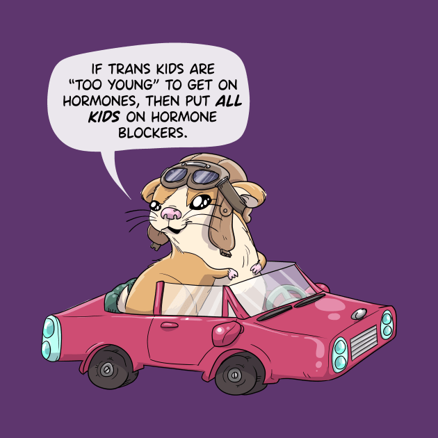 World Champion race car driver Hamster by sophielabelle