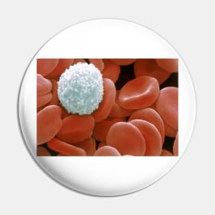 Colour SEM of red & white blood cells (P242/0218) Pin