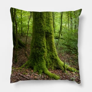 Moss-covered Tree Pillow